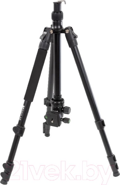 Изображение товара Штатив RayLab Pro 65 (с головой)