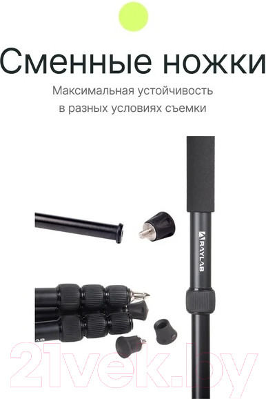 Изображение товара Штатив RayLab Pro 70 (с головой)