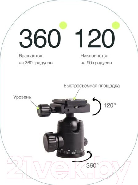 Изображение товара Штатив RayLab Pro 75 (с головой)