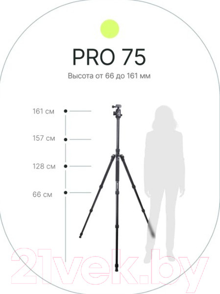 Изображение товара Штатив RayLab Pro 75 (с головой)