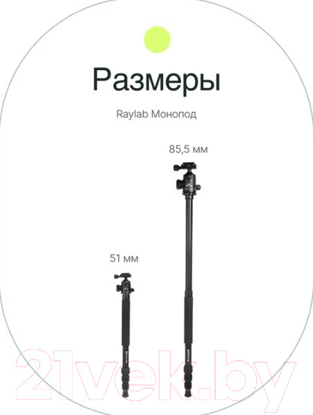 Изображение товара Штатив RayLab Pro 75 (с головой)