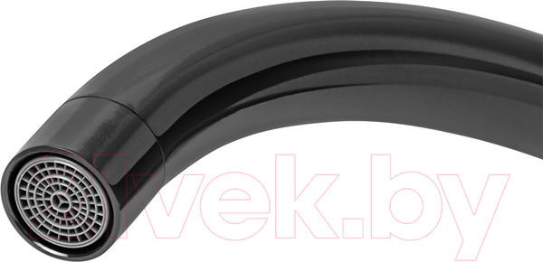 Изображение товара Смеситель Arfeka AF 03 SS304 (черный)