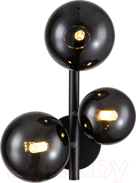 Изображение товара Бра Indigo Light Molecola V000198