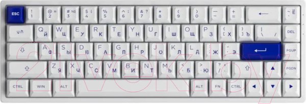 Изображение товара Клавиатура Akko 3068B Plus Edition White&Blue 3 Modes Jelly Pink / 1561217