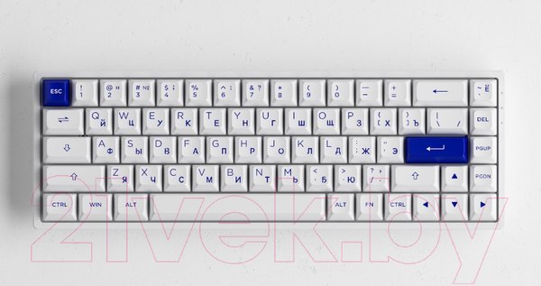 Изображение товара Клавиатура Akko 3068B Plus Edition White&Blue 3 Modes Jelly Pink / 1561217