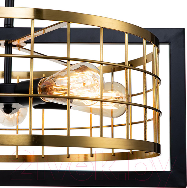 Изображение товара Люстра Indigo Light Era V000068