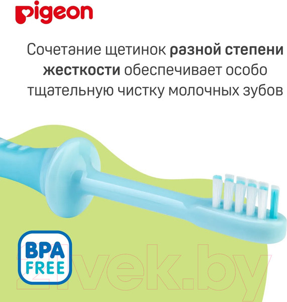 Изображение товара Набор зубных щеток Pigeon Training Toothbrush Set Step 4 18+ / 1021096 (2шт, голубой)