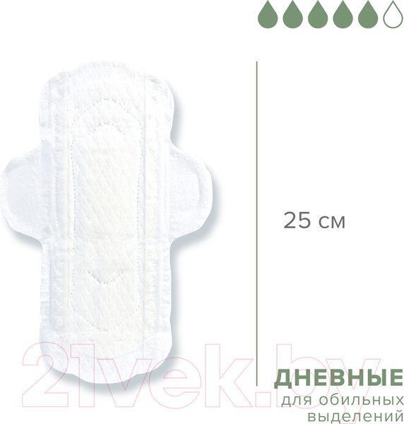 Изображение товара Прокладки гигиенические Laurier Super Slim Guard Дневные ультратонкие с крылышками 25см (19шт)