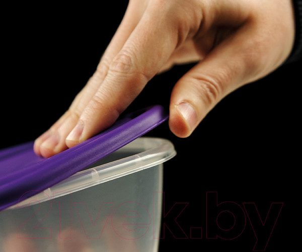 Изображение товара Контейнер Альт-Пласт Прованс №2 / 103725 (4шт)