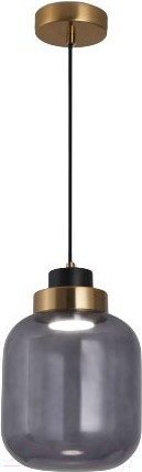 Изображение товара Потолочный светильник Евросвет 50240/1 LED (дымчатый)