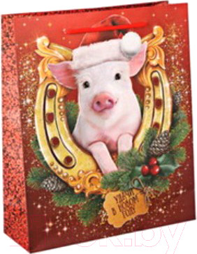 Изображение товара Пакет подарочный Дарите счастье Удачи в Новом году / 3302529