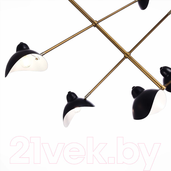 Изображение товара Люстра ST Luce SL1801.303.06