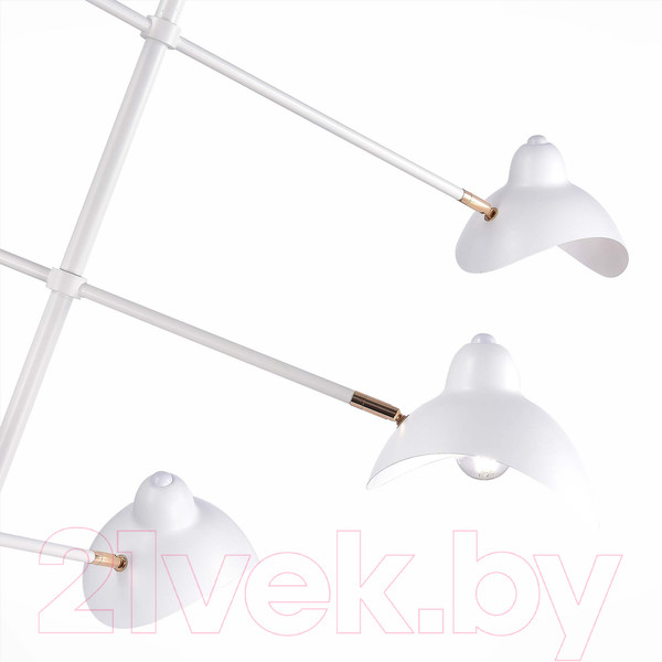 Изображение товара Люстра ST Luce SL1801.503.06