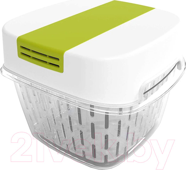 Изображение товара Контейнер Rotho Fresh Dynamic / 1025605070 (лайм)