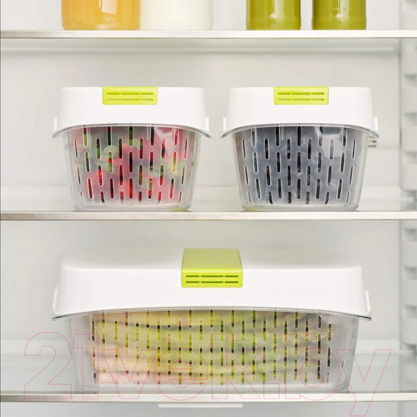 Изображение товара Контейнер Rotho Fresh Dynamic / 1025605070 (лайм)