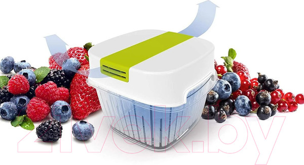 Изображение товара Контейнер Rotho Fresh Dynamic / 1025605070 (лайм)