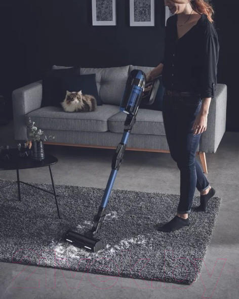 Изображение товара Вертикальный пылесос Tefal TY98C0WO