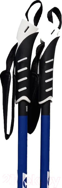 Изображение товара Палки для беговых лыж Tisa XC Sport Carbon / Z60422 (р.125)