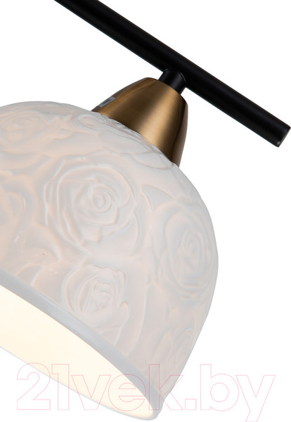 Изображение товара Потолочный светильник Indigo Light Attimo V000154