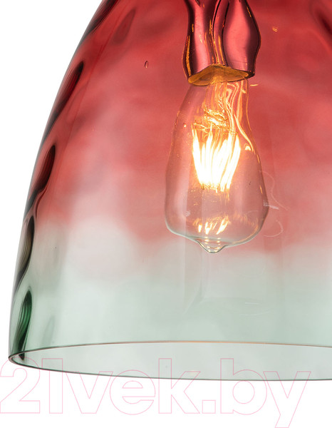 Изображение товара Потолочный светильник Indigo Light Bacca V000295