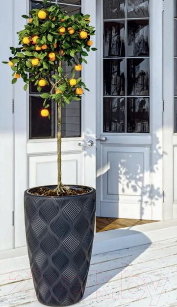 Изображение товара Кашпо Formplastic Flow Slim 4720-084 (глубокий черный)