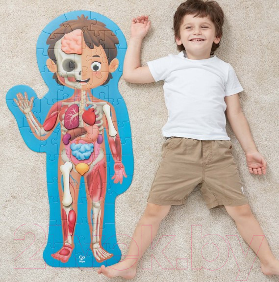 Изображение товара Развивающая игра Hape Как устроено тело человека / E1635_HP