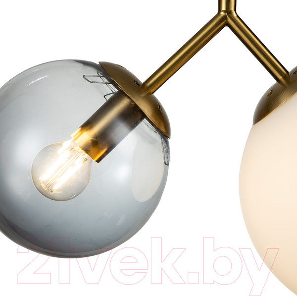 Изображение товара Потолочный светильник Indigo Light Duetto V000113