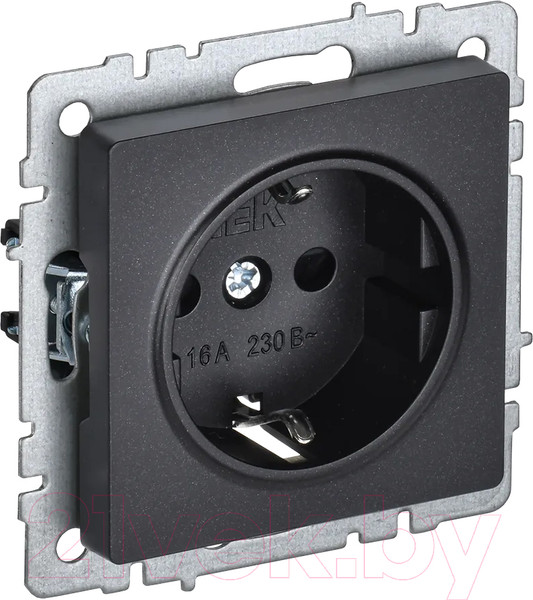 Изображение товара Розетка IEK Brite BR-R14-16-K02 (черный)