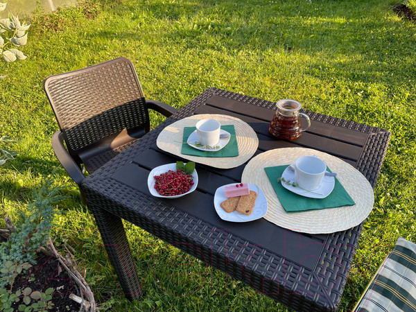 Изображение товара Стул пластиковый Ingreen Rattan / ING6182ГШК (горький шоколад)