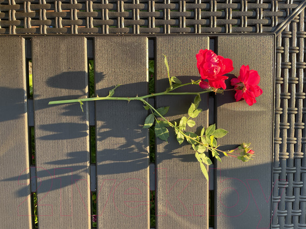 Изображение товара Стол пластиковый Ingreen Rattan / ING6183ГШК (горький шоколад)