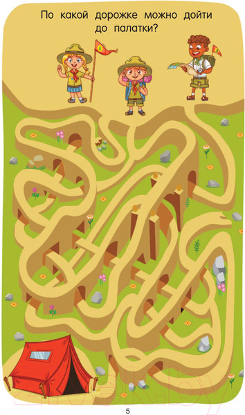 Изображение товара Развивающая книга АСТ 100 головоломок (Дмитриева В.Г.)