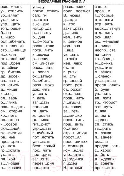 Изображение товара Учебное пособие АСТ 3000 примеров по русскому языку. 3 класс. Крупный шрифт (Узорова О., Нефедова Е.)