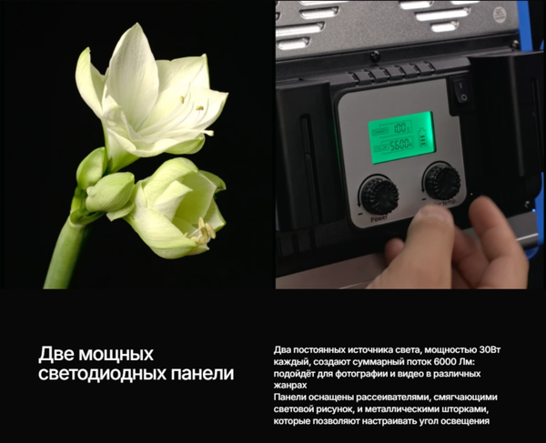 Изображение товара Комплект оборудования для фотостудии RayLab RL-30