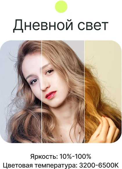 Изображение товара Комплект оборудования для фотостудии RayLab RL-30