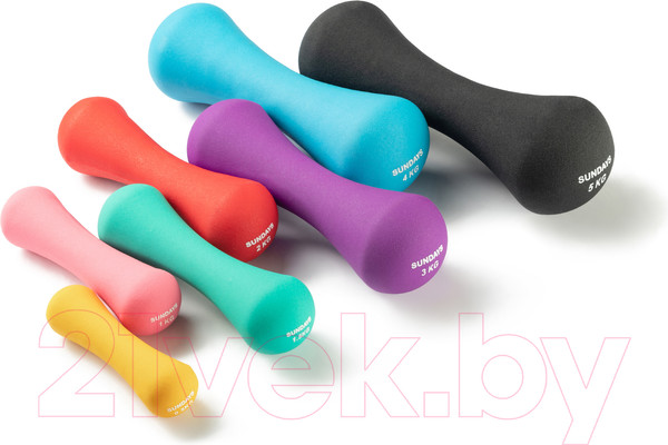 Изображение товара Набор гантелей Sundays Fitness IR92004-D (2х1.5кг, бирюзовый)