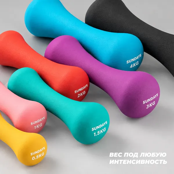 Изображение товара Набор гантелей Sundays Fitness IR92004-D (2х2кг, красный)
