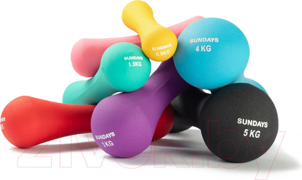Изображение товара Набор гантелей Sundays Fitness IR92004-D (2х4кг, голубой)