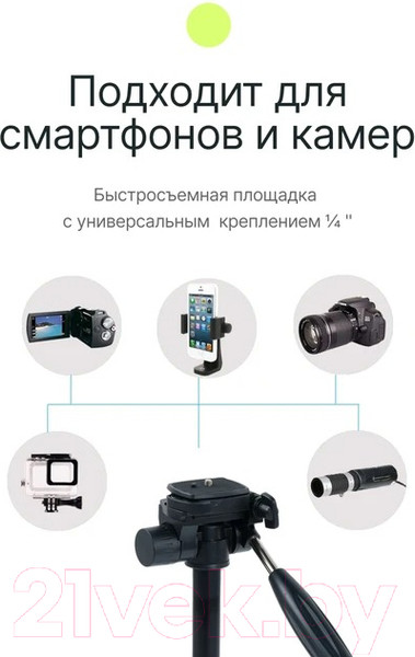Изображение товара Штатив RayLab Travel 67 / RLCTAL67 (с головой)