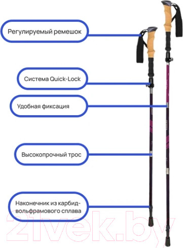 Изображение товара Трекинговые палки RoadLike Carbon / 368219 (зеленый)