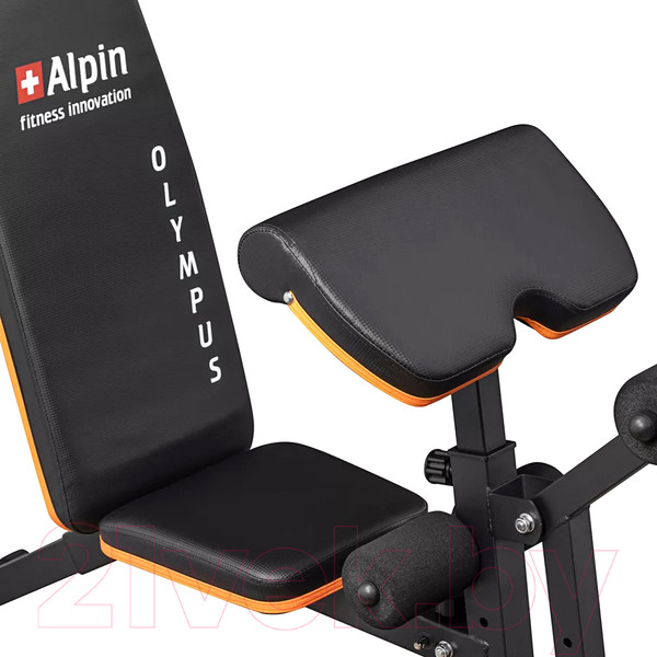 Изображение товара Скамья для пресса Alpin Olympus G-8