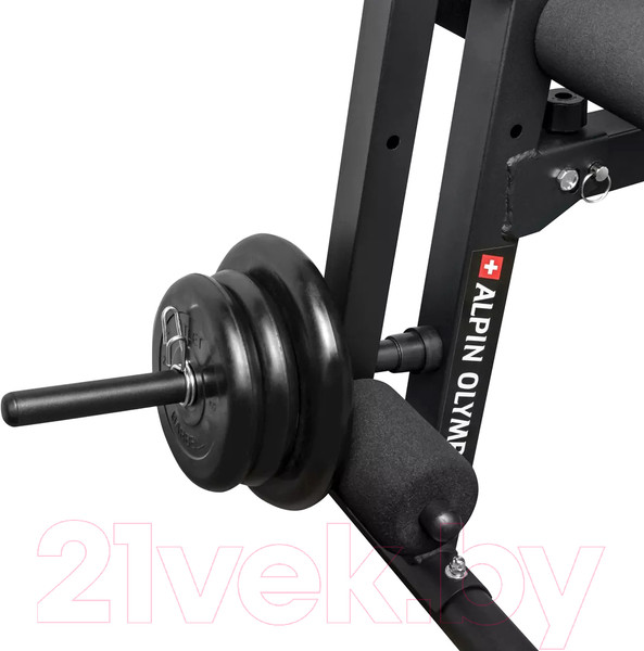 Изображение товара Скамья для пресса Alpin Olympus G-8