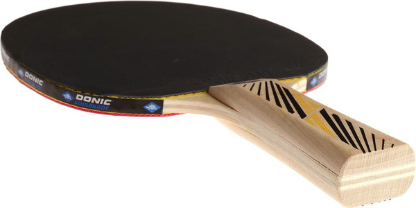 Изображение товара Ракетка для настольного тенниса Donic Schildkrot Legends 300 / 705234