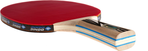 Изображение товара Ракетка для настольного тенниса Donic Schildkrot Legends / 754430 (серебристый)