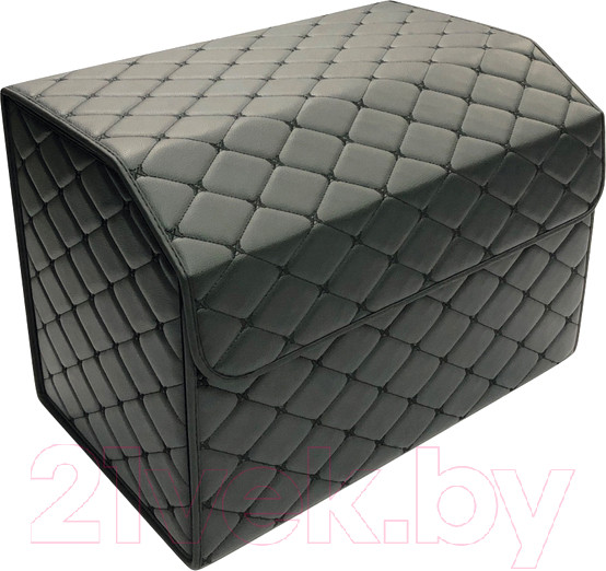 Изображение товара Органайзер автомобильный Alicosta 0010_AC_E (р.50, экокожа/черный)