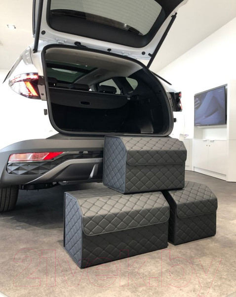 Изображение товара Органайзер автомобильный Alicosta 0010_AC_E (р.50, экокожа/черный)