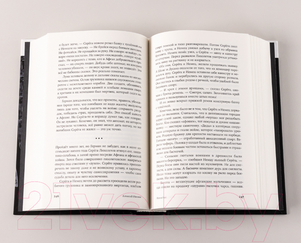 Изображение товара Книга Альпина Ненастье (Иванов А.В.)