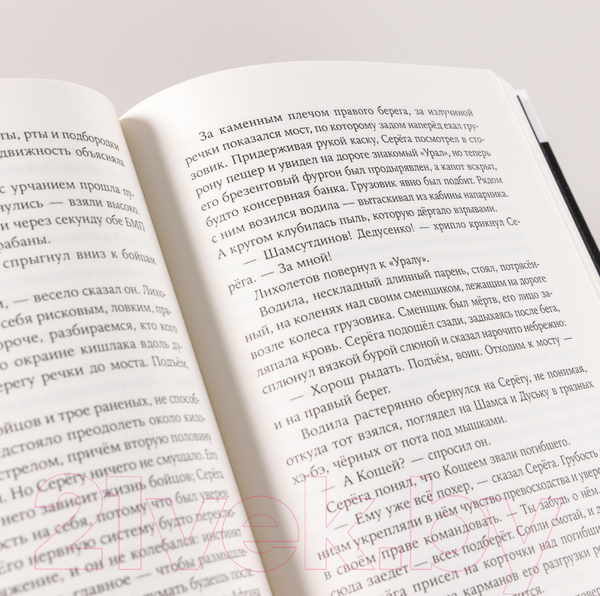 Изображение товара Книга Альпина Ненастье (Иванов А.В.)