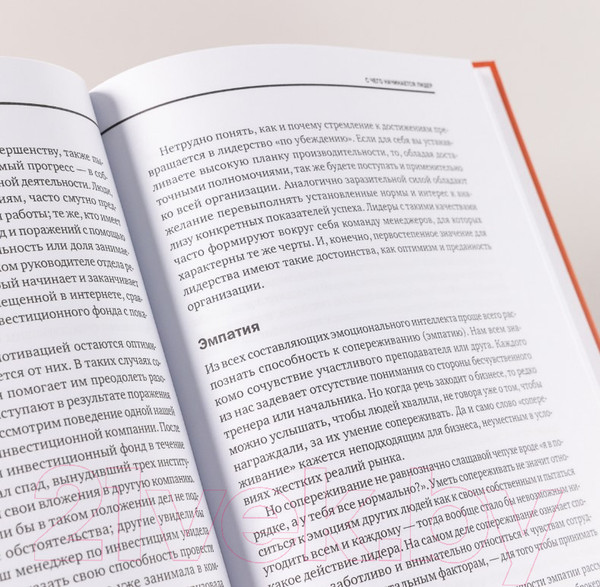 Изображение товара Нехудожественная книга Альпина Управление и лидерство для начинающих руководителей