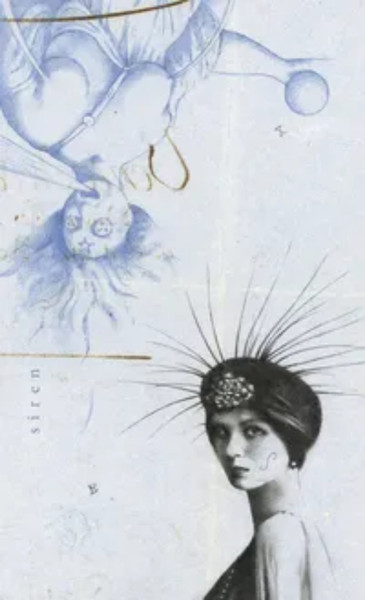 Изображение товара Гадальные карты Llewellyn The Archeo / LW066