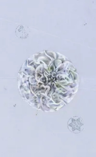 Изображение товара Гадальные карты Llewellyn The Archeo / LW066